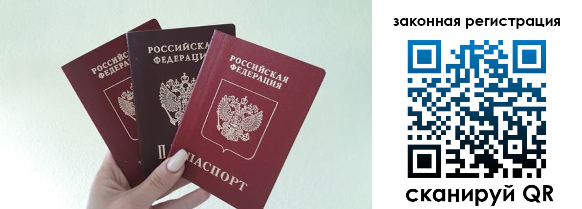 прописка 2025 в Губкинском